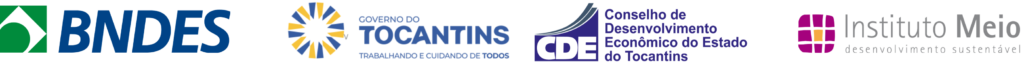 BNDES, Governo do Tocantins, Conselho de Desenvolvimento Econômico do Estado do Tocantins e Instituto Meio